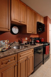 Updated kitchens - go green initiative at Hirschfeld