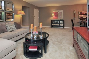 Apartments-baltimore-tall-oaks-apartment-homes-living-room