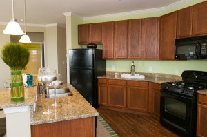 New construction apartments Frederick, MD kitchens