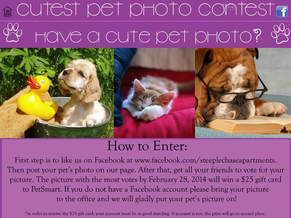 Steeplechase Apartment Homes hosts cutest pet photo contest on Facebook