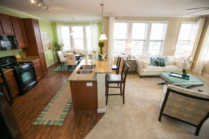 VistaView Apartment Homes kitchen/living room