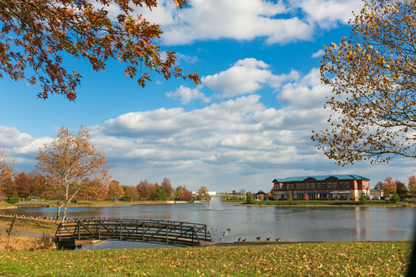 VistaView Apartment Homes has Gorgeous Views