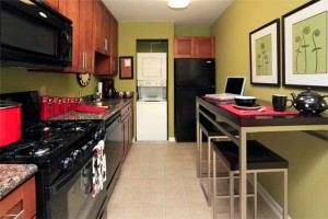 Kitchen-washer-dryer-Ridgeview