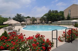 Poolside at Our Apartments in Cockeysville