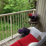 Ridge-View-Spring Cleaning-2014-Balcony Patio-Contest-2