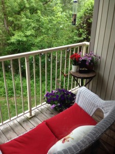 Ridge-View-Spring Cleaning-2014-Balcony Patio-Contest-2