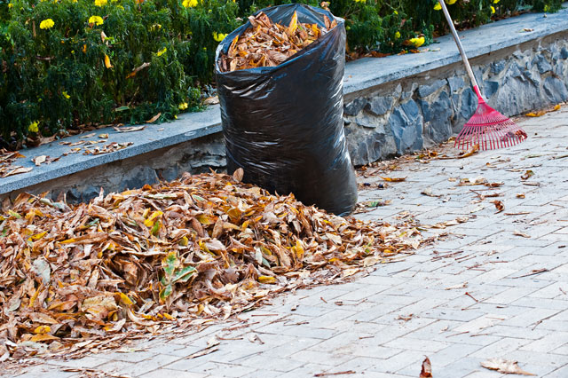 Leaf_raking_fall