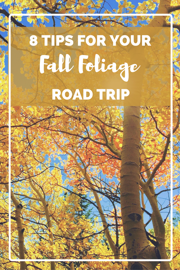 8 tips for your fall foliage road trip