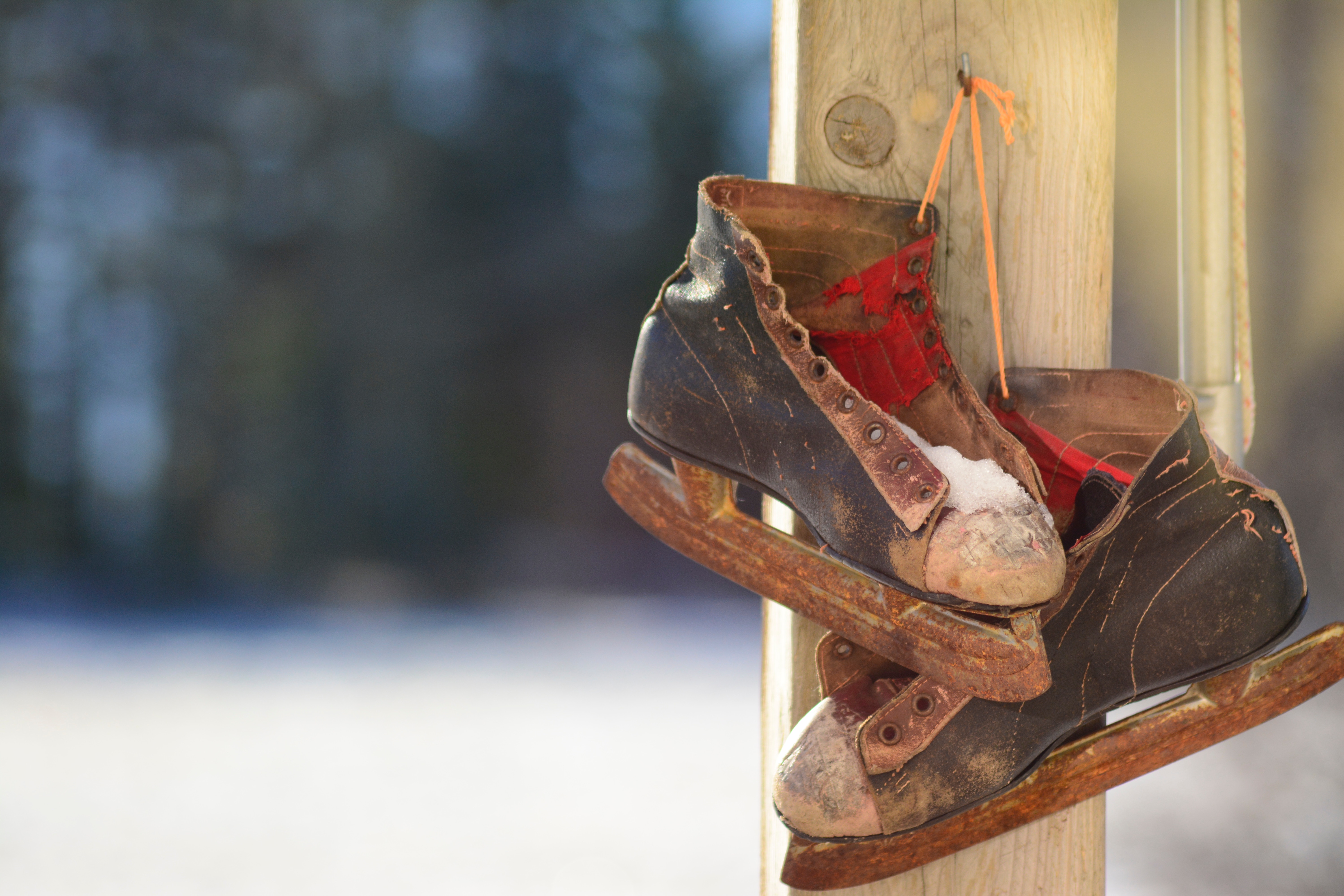 pair of ice skates hanging up outside