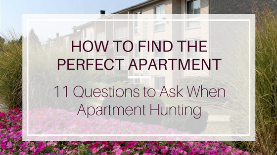 how to find the perfect apartment 11 questions to ask when apartment hunting