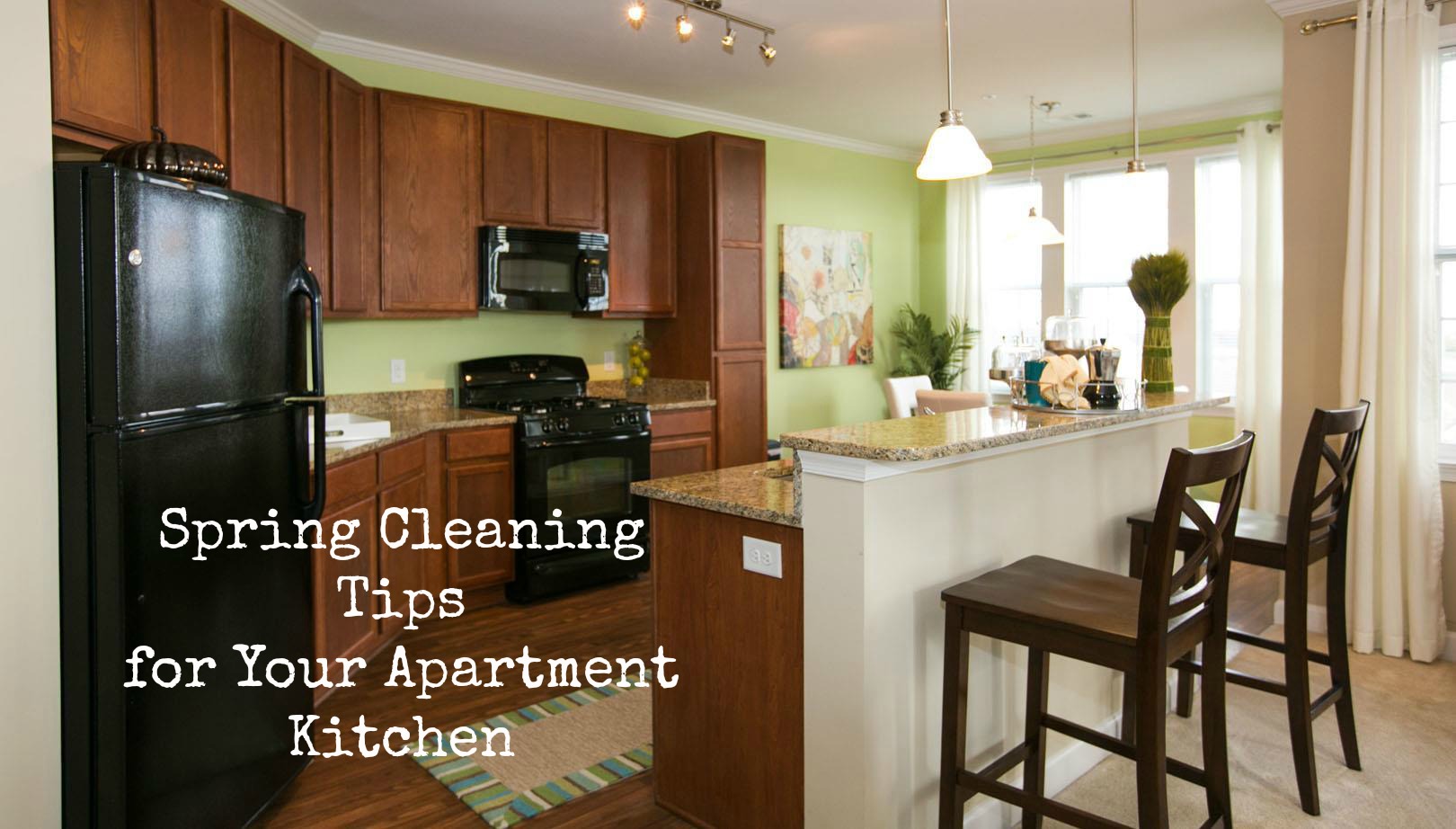 spring_cleaning_your_apartment_kitchen.2