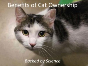 Benefits_of_cat_ownership_backed_by_science