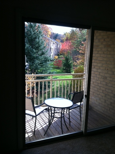 apartments_cockeysville_fall_view_steeplechase