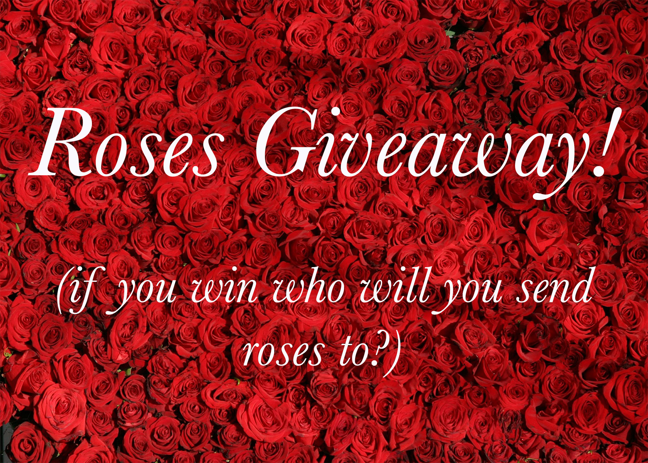 valentinesday-rosesgiveaway-talloaks-hirschfeldapartmenthomes