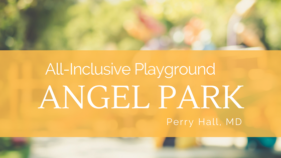 all inclusive playground angel park located in perry hall maryland