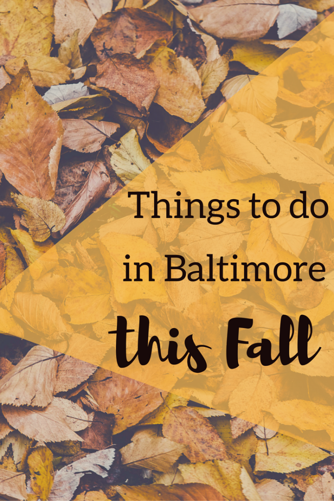 Things to do in Baltimore in the Fall Hirschfeld