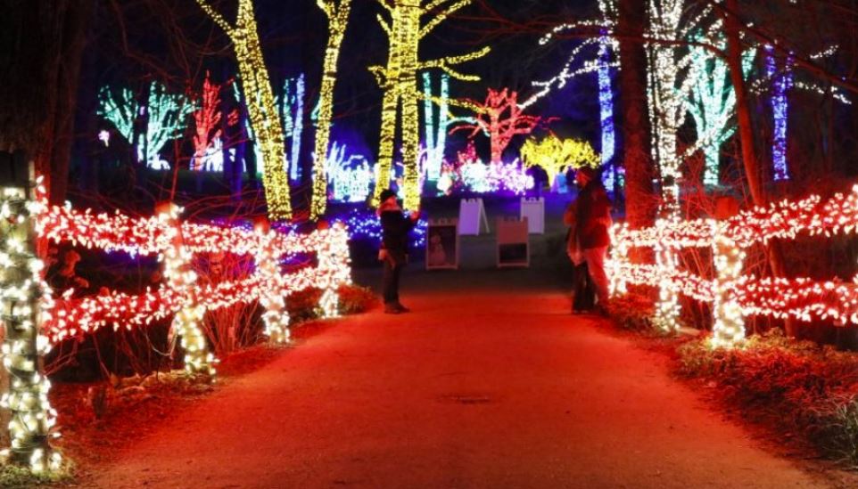 Best Holiday Light Displays Near Washington D.C. Hirschfeld