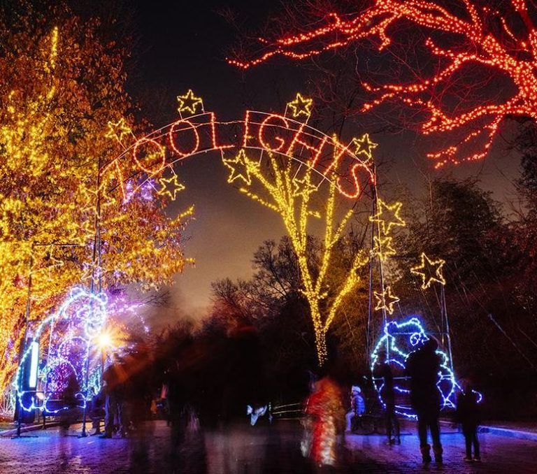Best Holiday Light Displays Near Washington D.C. Hirschfeld