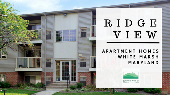 ridge view apartment homes in white marsh maryland