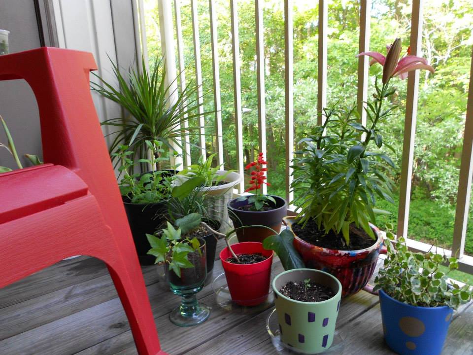 do it yourself potted plants