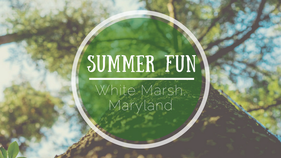 summer fun white marsh maryland