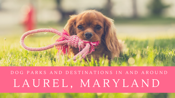 dog parks and destinations in and around Laurel maryland