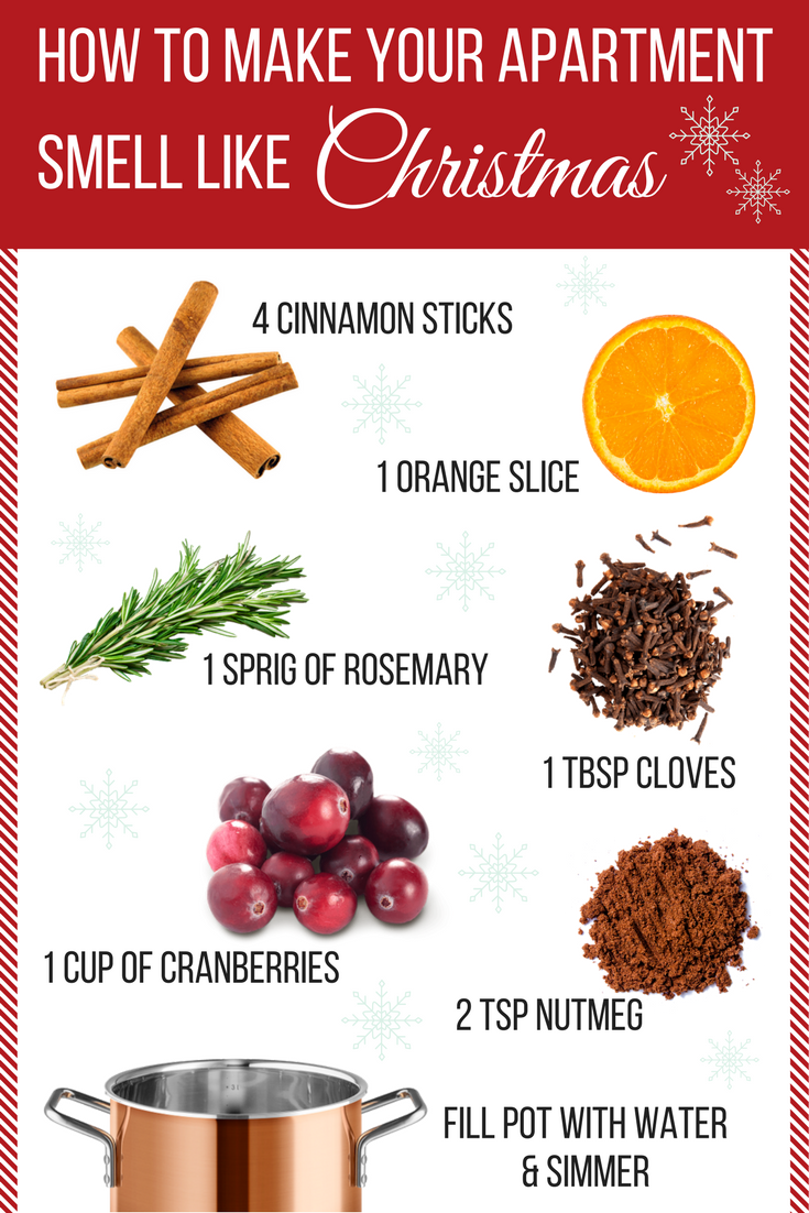 How to make your apartment smell like Christmas inforgraphic