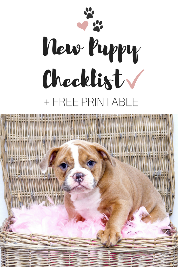 new puppy checklist