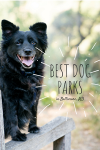best dog parks in Baltimore, Maryland