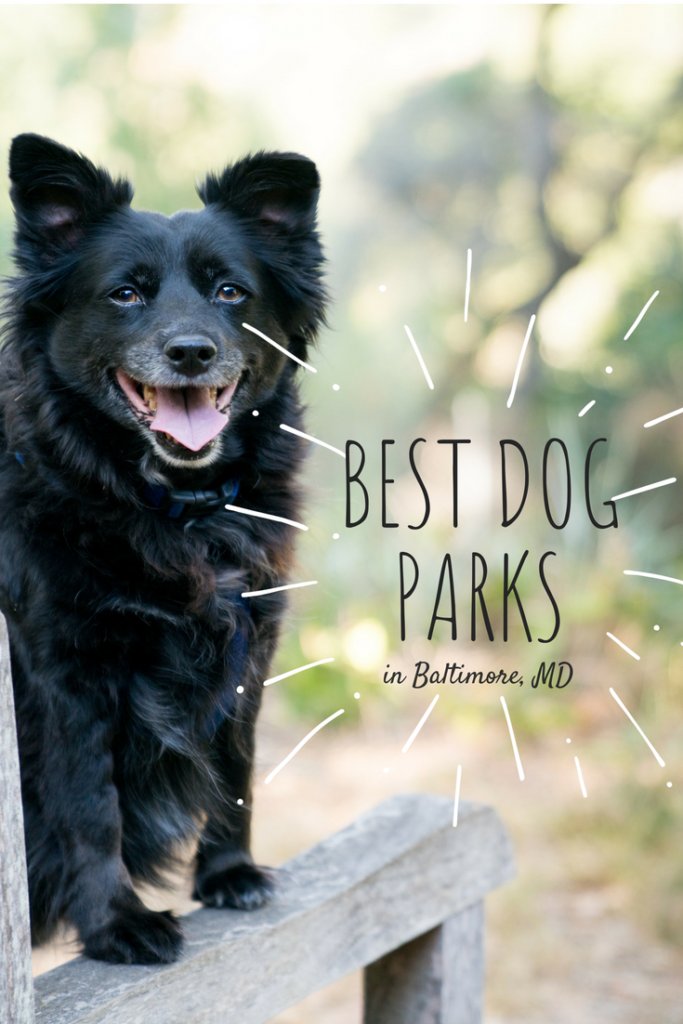 Dog Parks and Destinations in and around Baltimore Hirschfeld