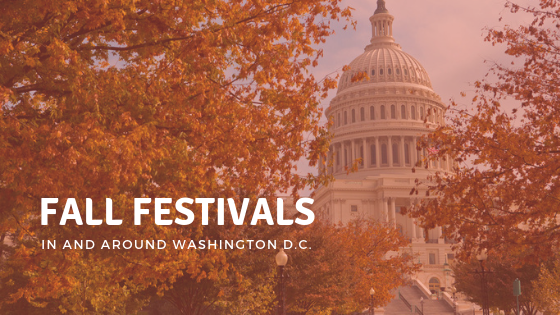 fall festivals in and around washington dc