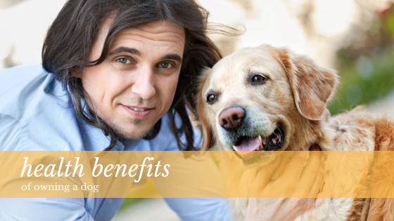 health benefits of owning a dog - man and his dog 